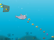 Big Fat Dolphin Game Online