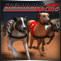 Greyhound Racing Game Image Greyhound Racing Game